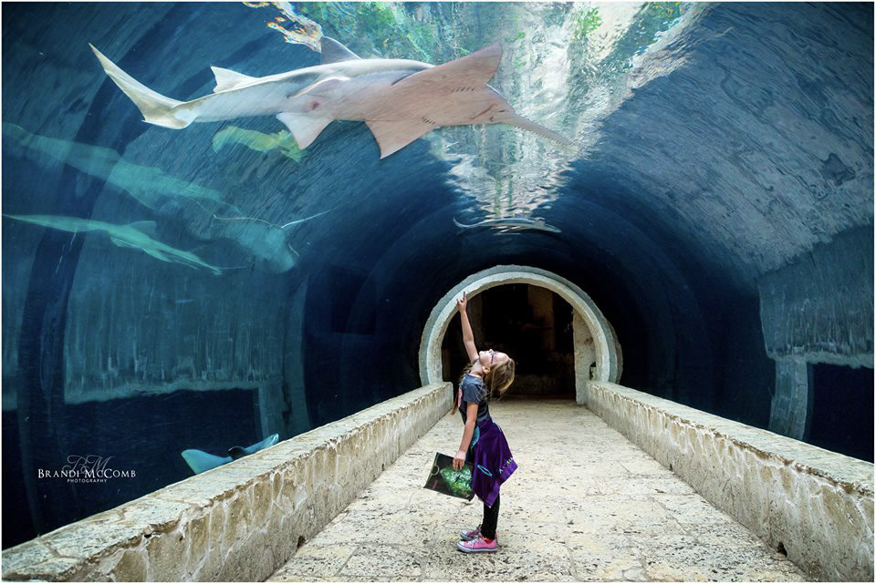 Dallas World Aquarium - Photo 1