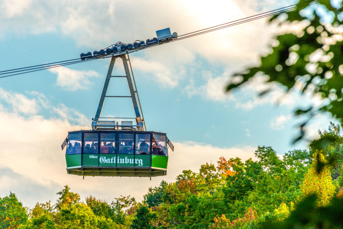 Aerial Tramway - Photo 1