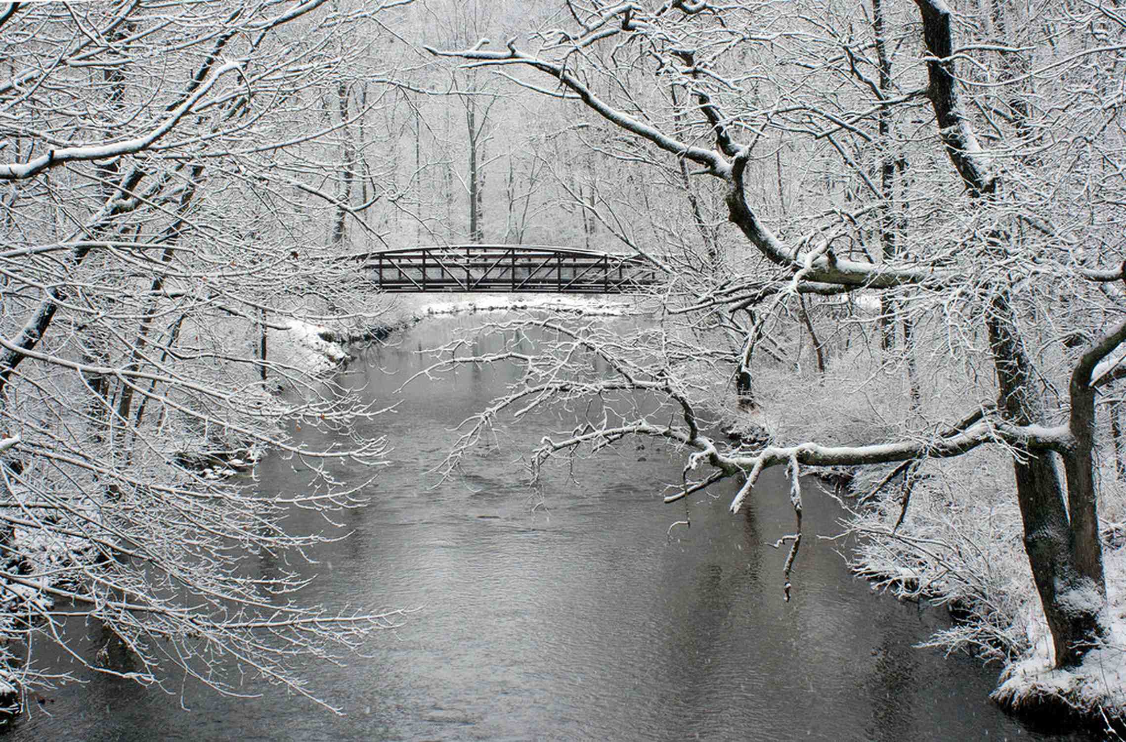 Jacobsburg Environmental Education Center - Photo 1