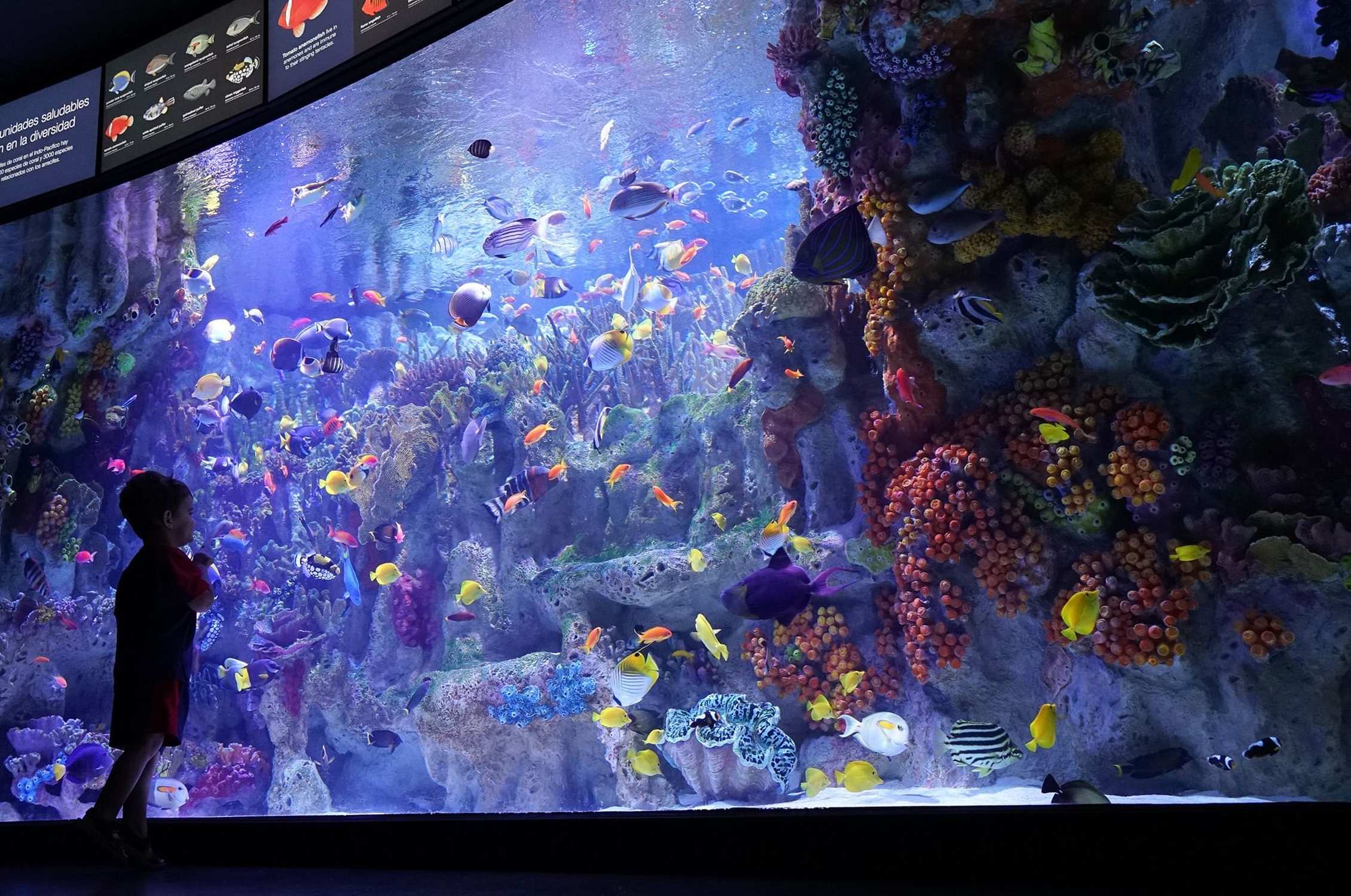 New England Aquarium - Photo 1