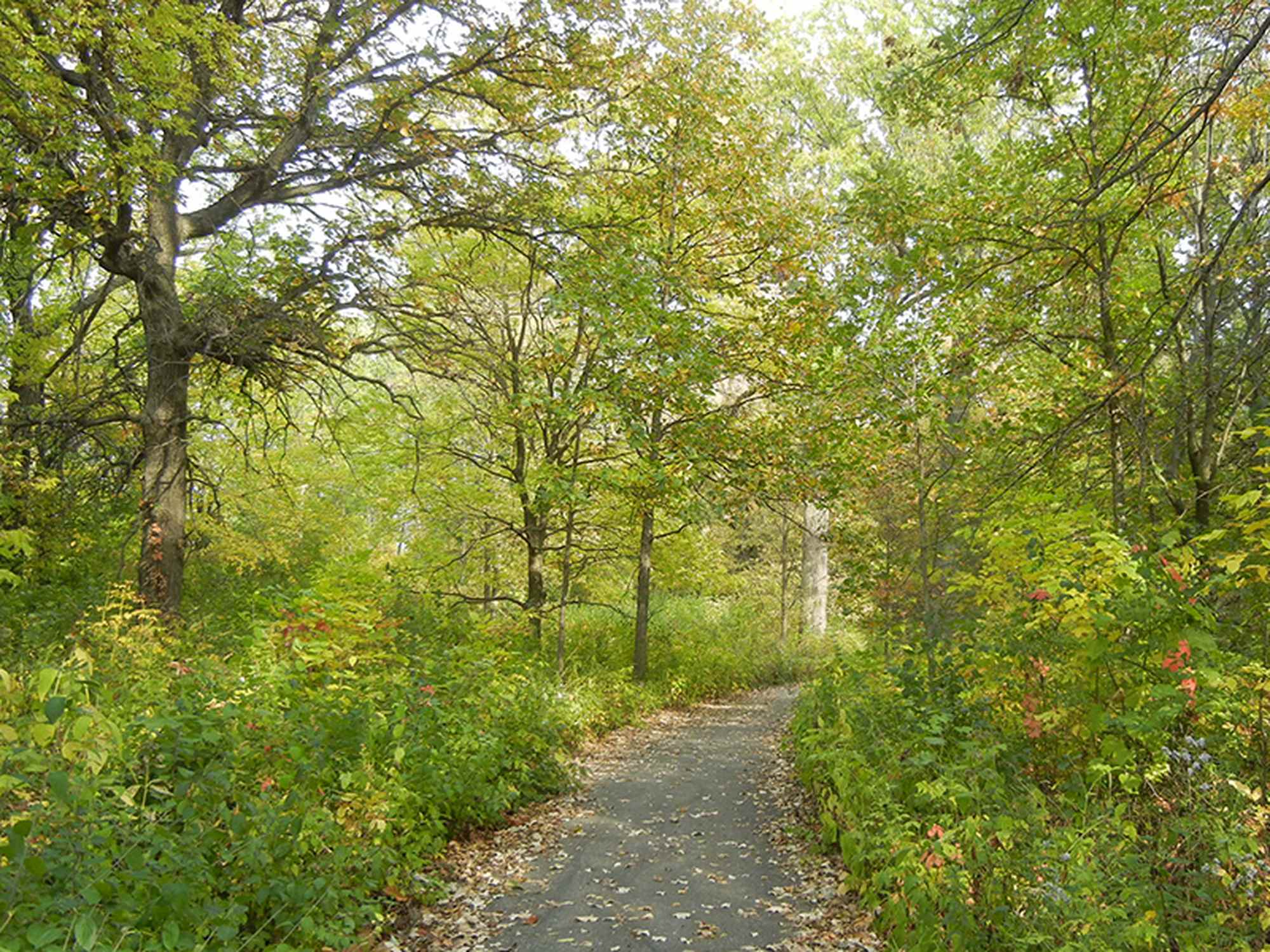 Emily Oaks Nature Center - Photo 1