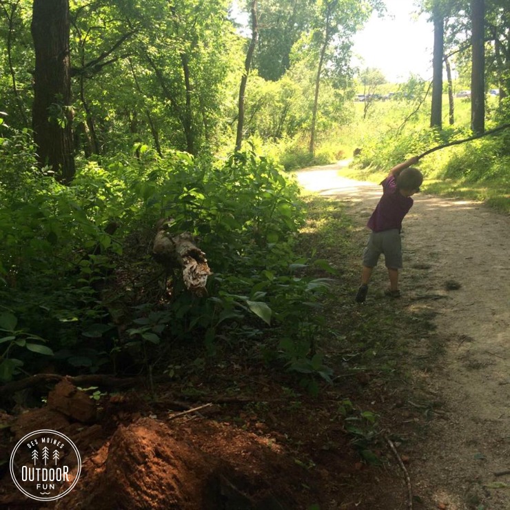 Brown's Woods - Photo 1