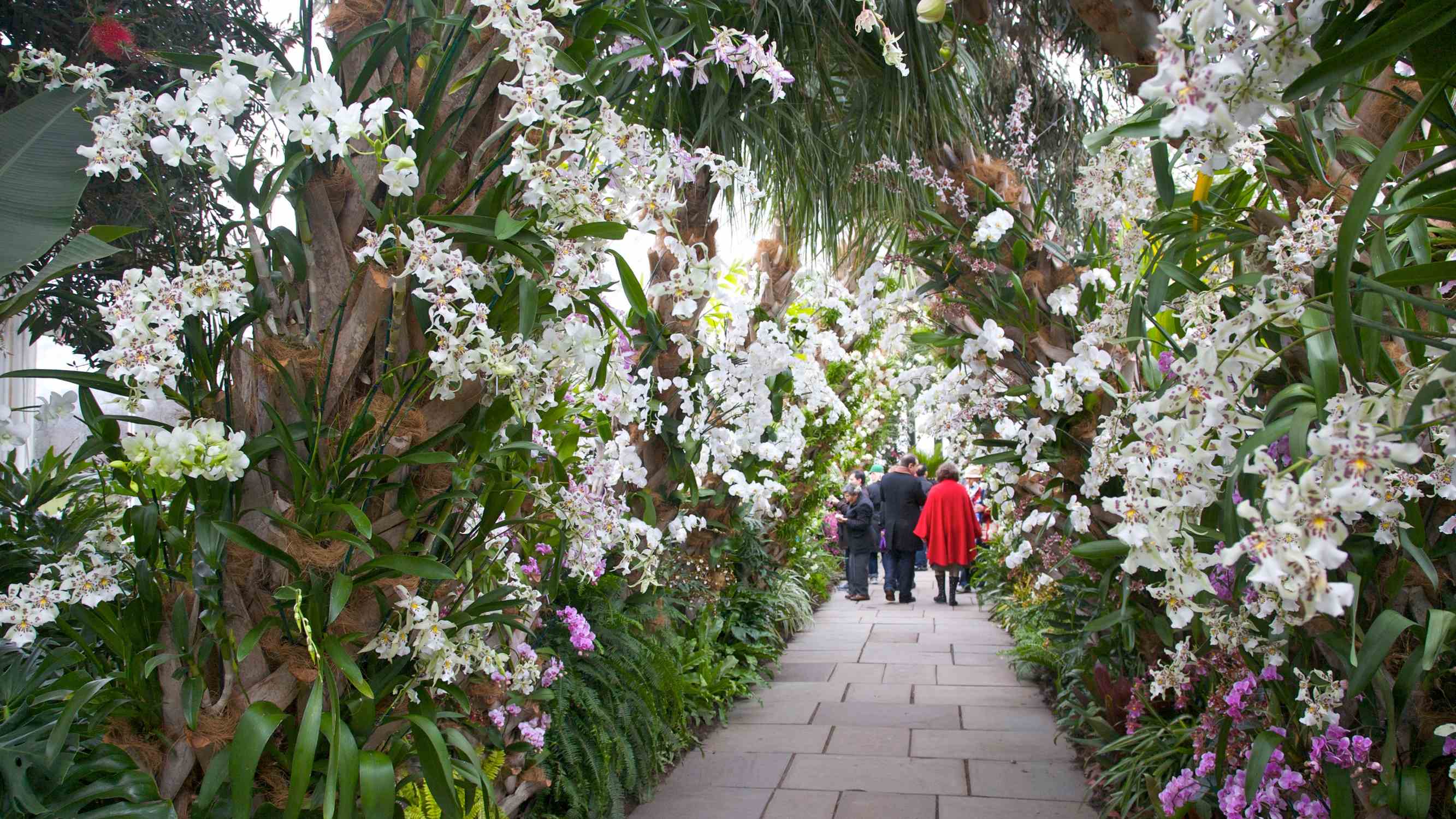 New York Botanical Garden - Photo 1