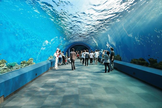 Ripley's Aquarium - Photo 1