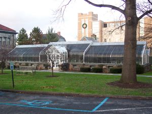 Quain Memorial Conservatory - Photo 1
