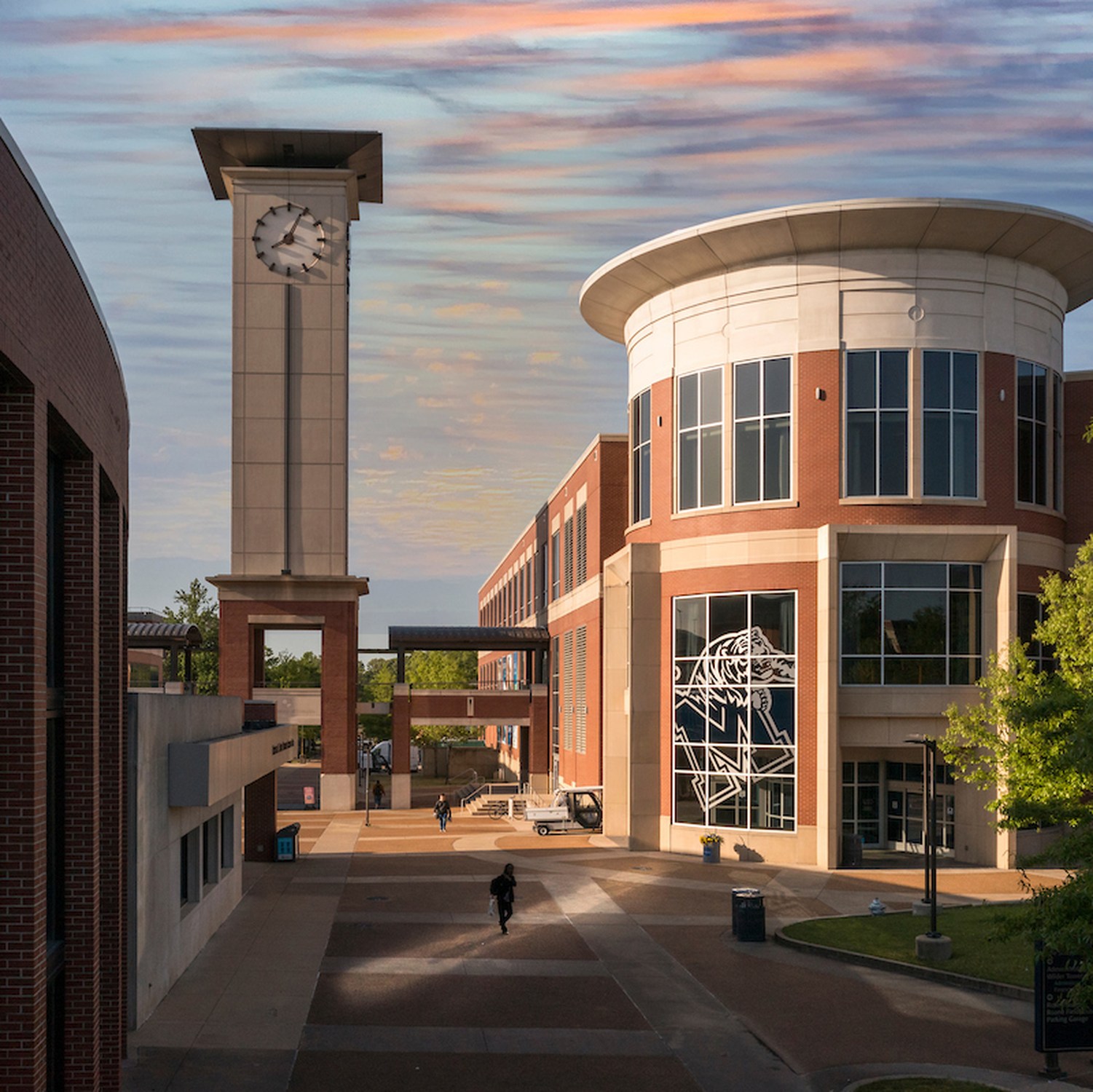 The University of Memphis - Photo 1