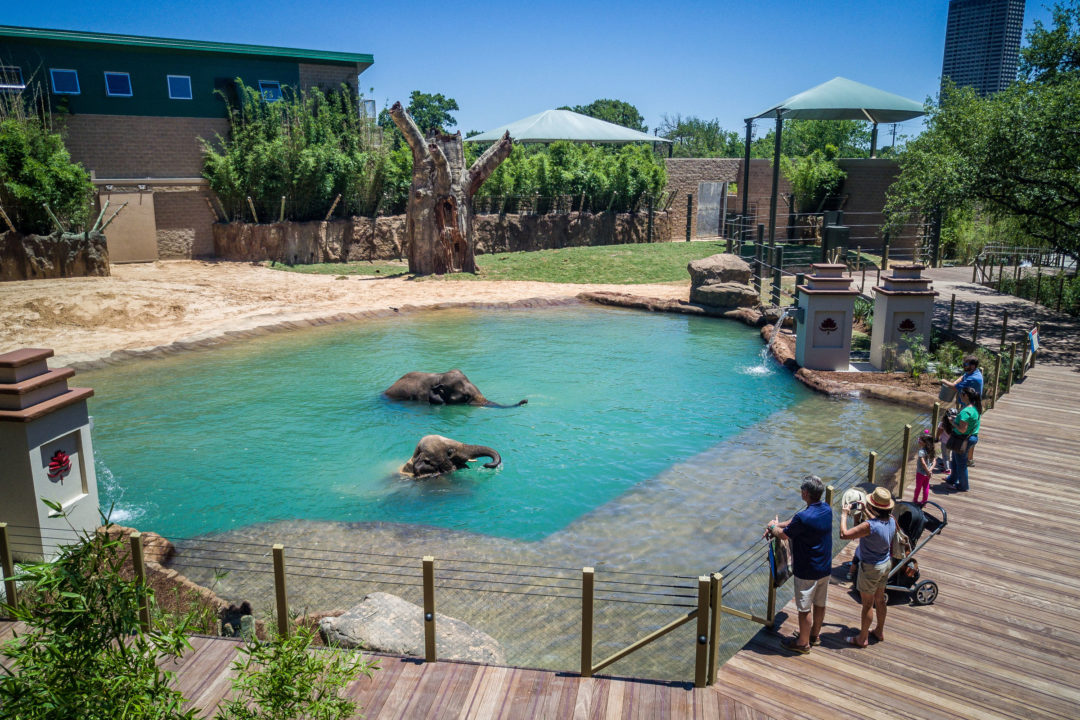 Houston Zoo - Photo 1