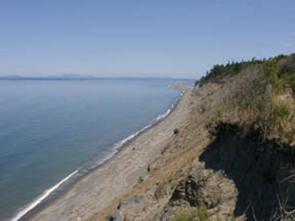 Dungeness Recreation Area - Photo 1
