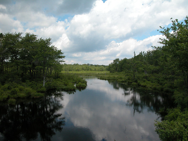 Tobyhanna State Park - Photo 1