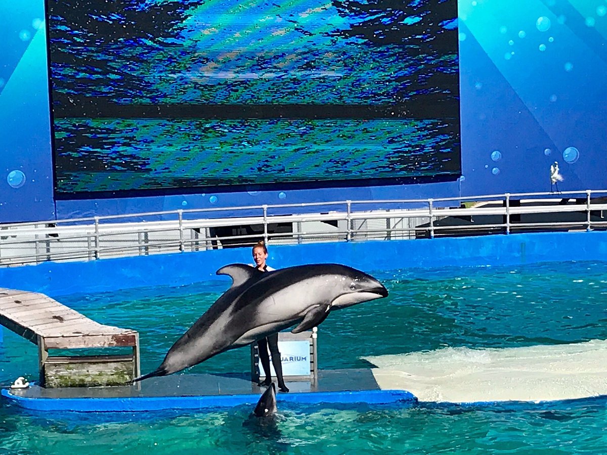 Miami Seaquarium - Photo 1