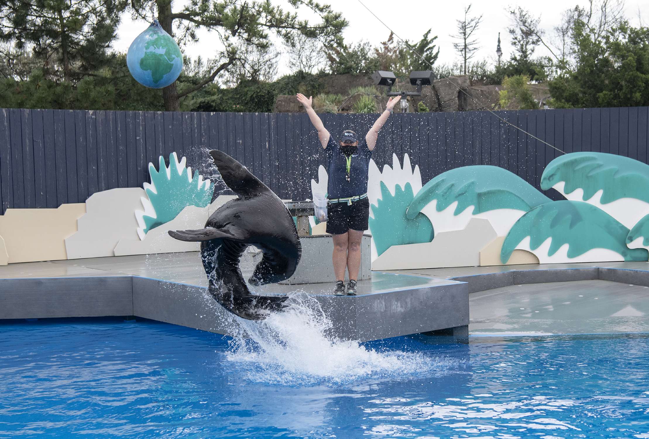 Sea Lion Pool - Photo 1