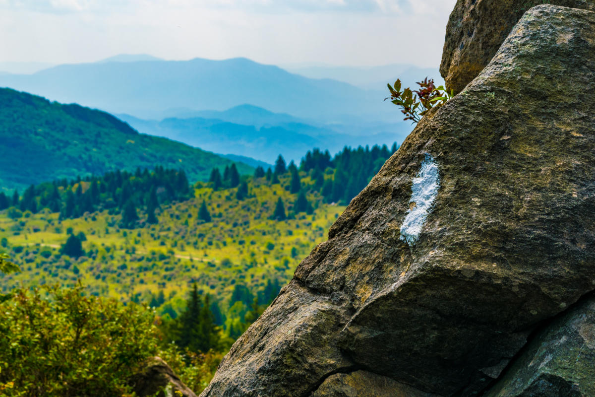 Appalachian Trail - Photo 1