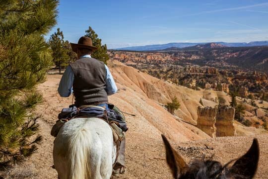 Ruby's Inn Horseback Riding - Photo 1