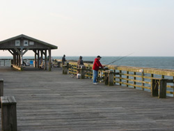 Myrtle Beach State Park Pier - Photo 1