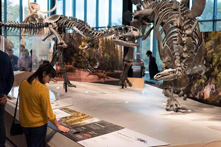 Burke Museum of Natural History and Culture - Photo 1