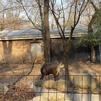 Bergen County Zoo - Photo 1