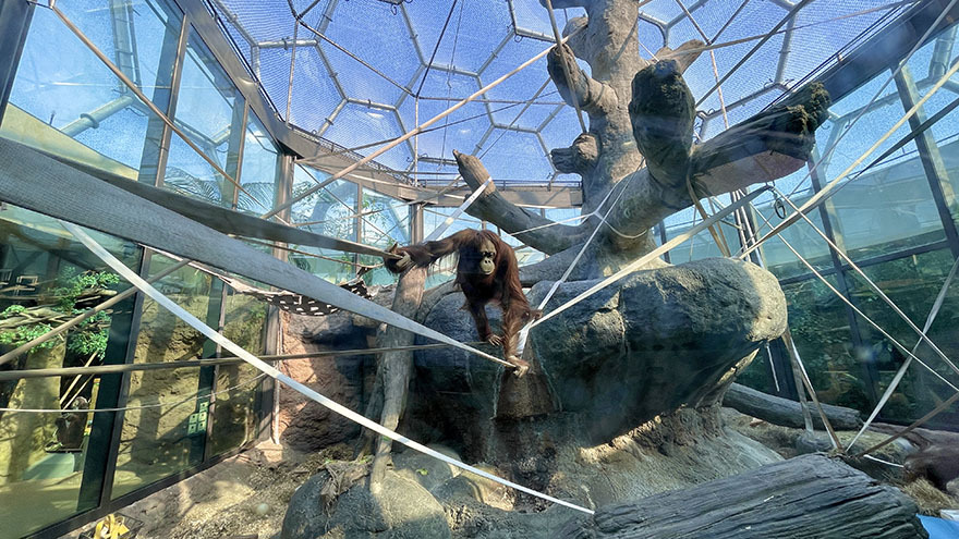 The RainForest at Cleveland Metroparks Zoo - Photo 1