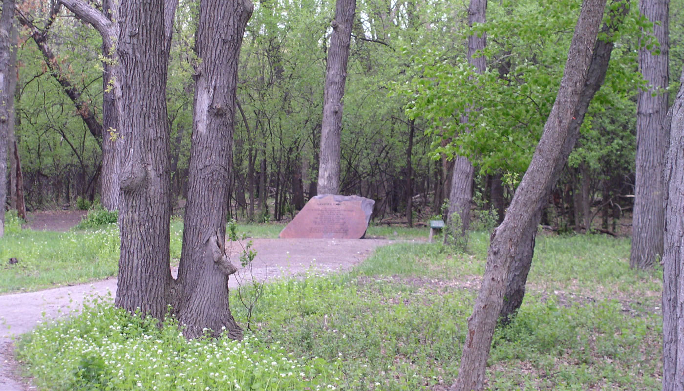 Robinson Woods South - Photo 1