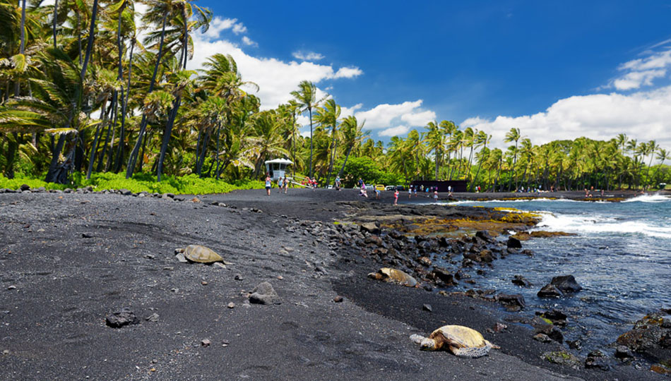 Punalu'u Black Sand Beach - Photo 1