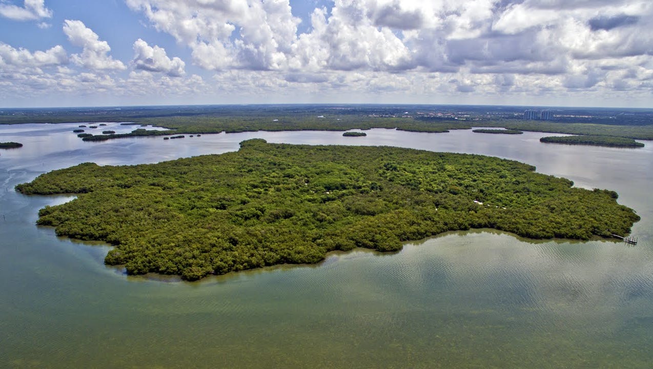 Mound Key Archaeological Preserve State Park - Photo 1