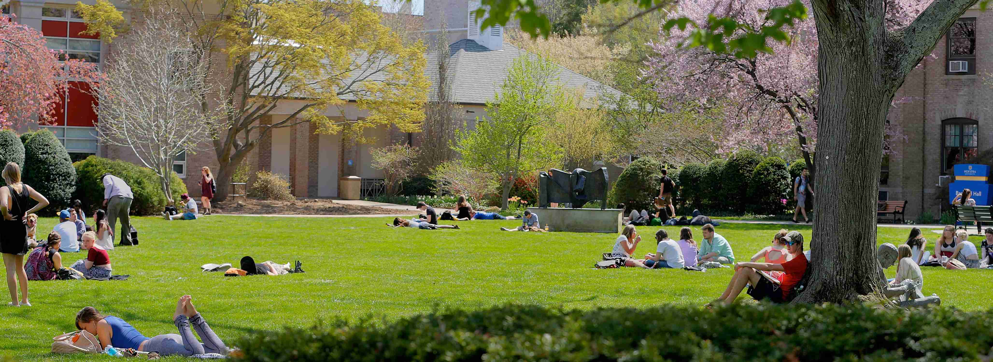 Hofstra University - Photo 1