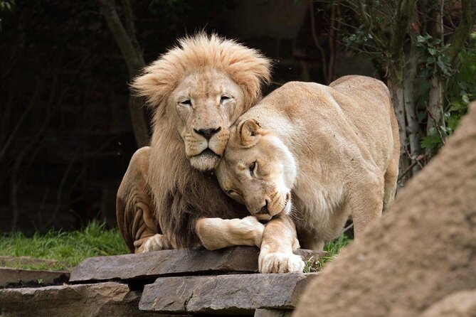 Philadelphia Zoo - Photo 1