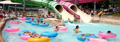 Jungle Jim's - Photo 1