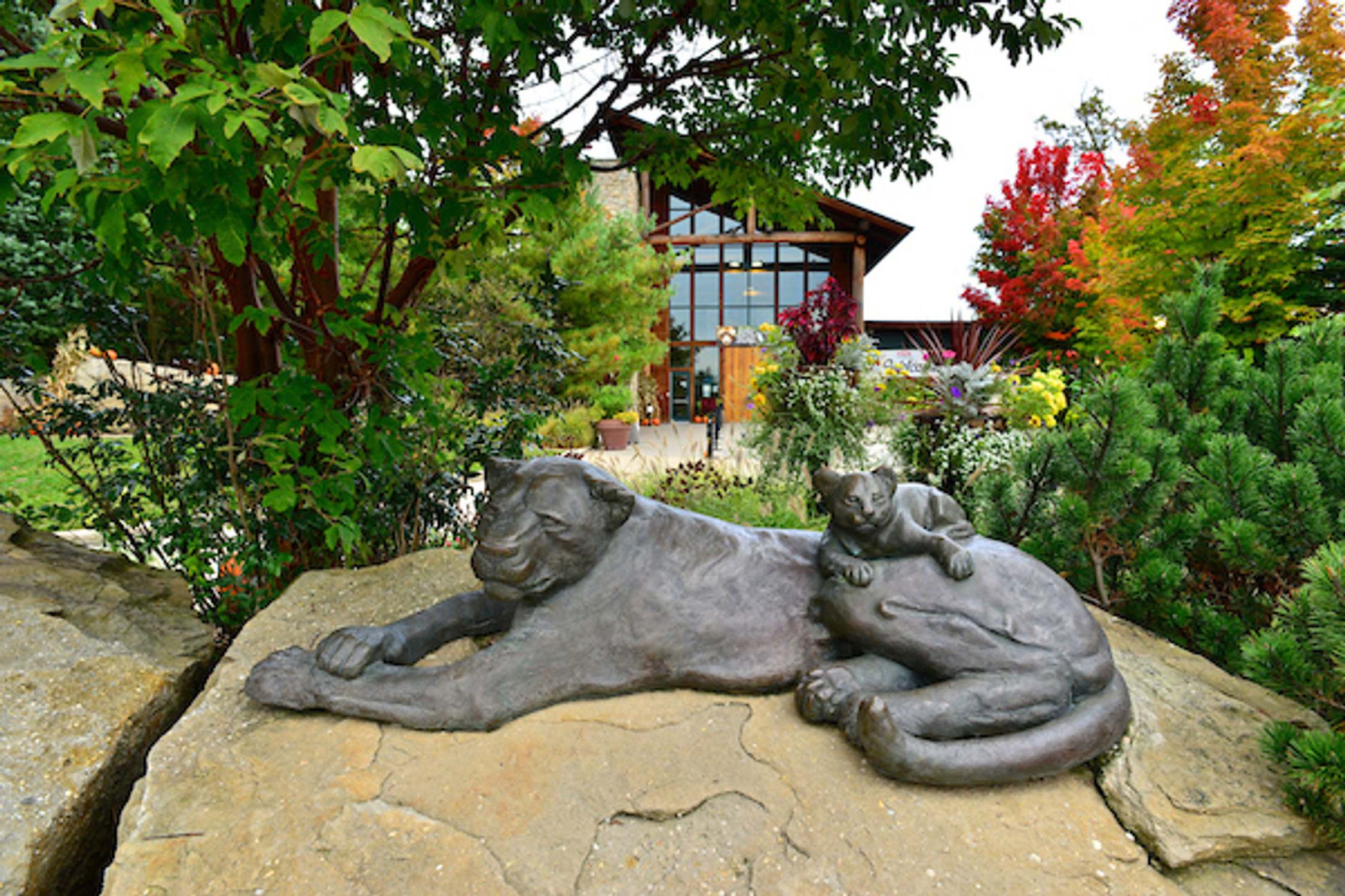Akron Zoo - Photo 1