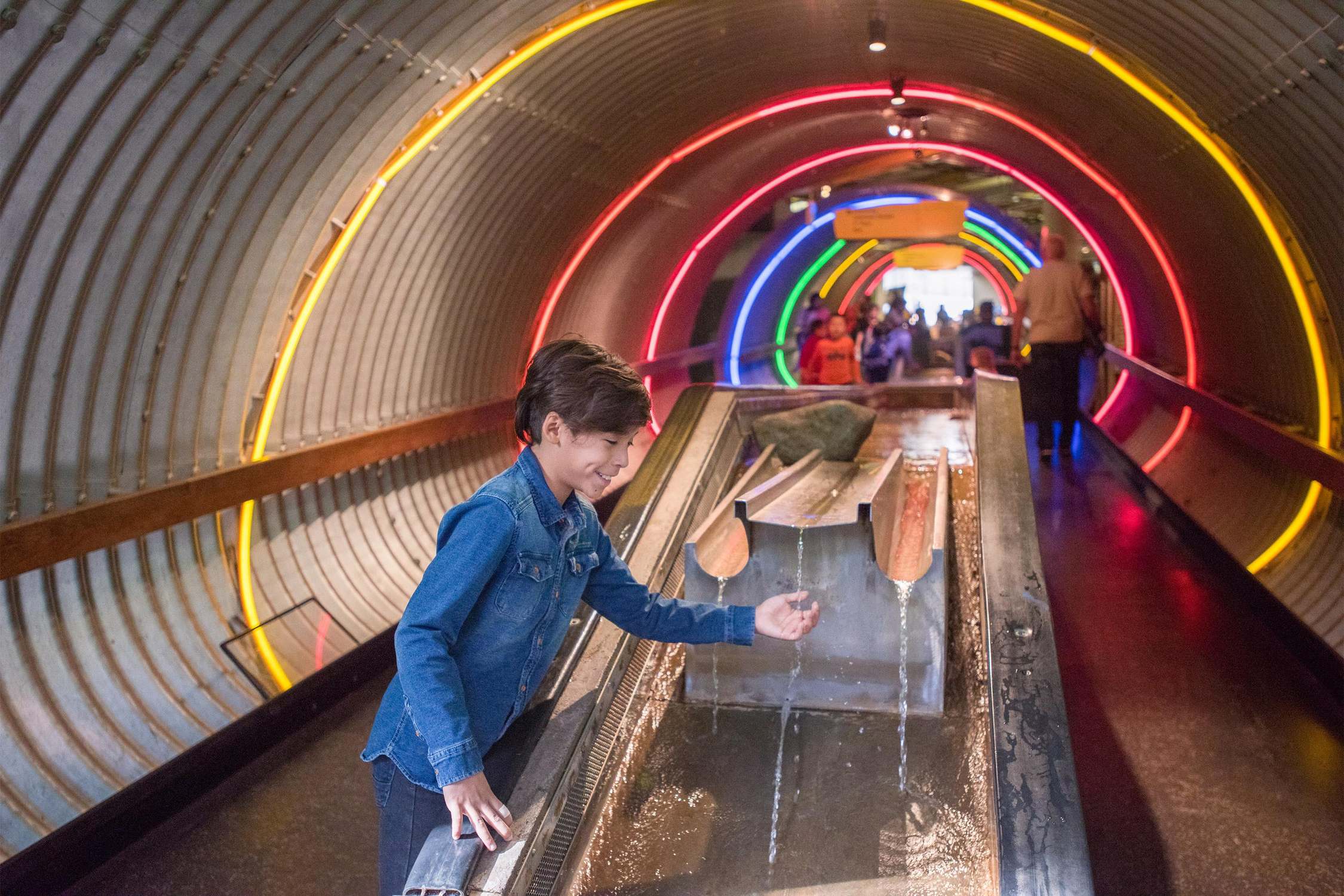 Brooklyn Children's Museum - Photo 1