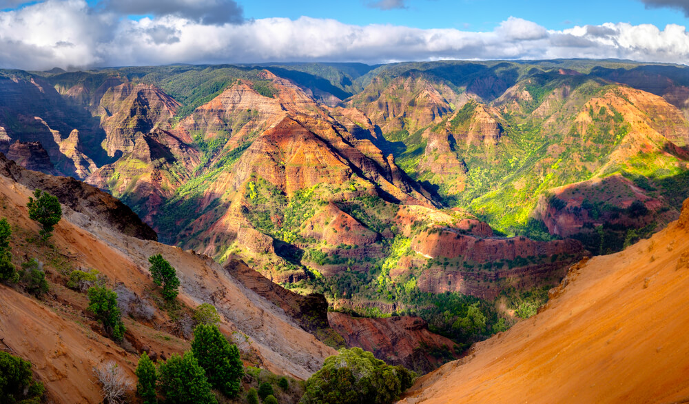 Waimea Canyon Trail - Photo 1