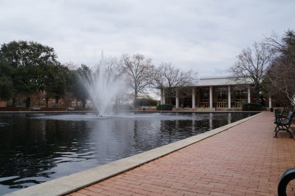 Reflection Pool - Photo 1