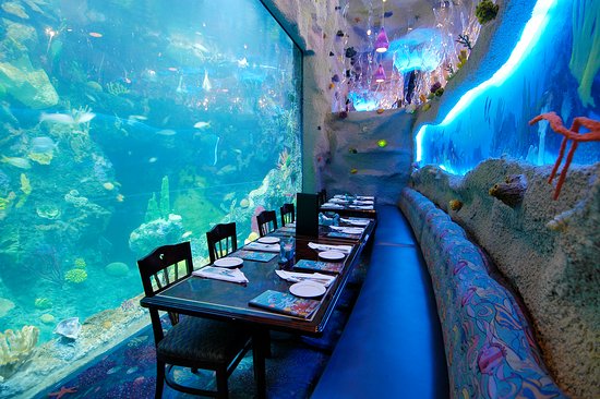 Downtown Aquarium - Photo 1