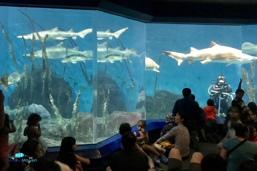 Maritime Aquarium - Photo 1