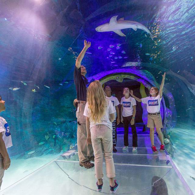 SEA LIFE Orlando Aquarium - Photo 1