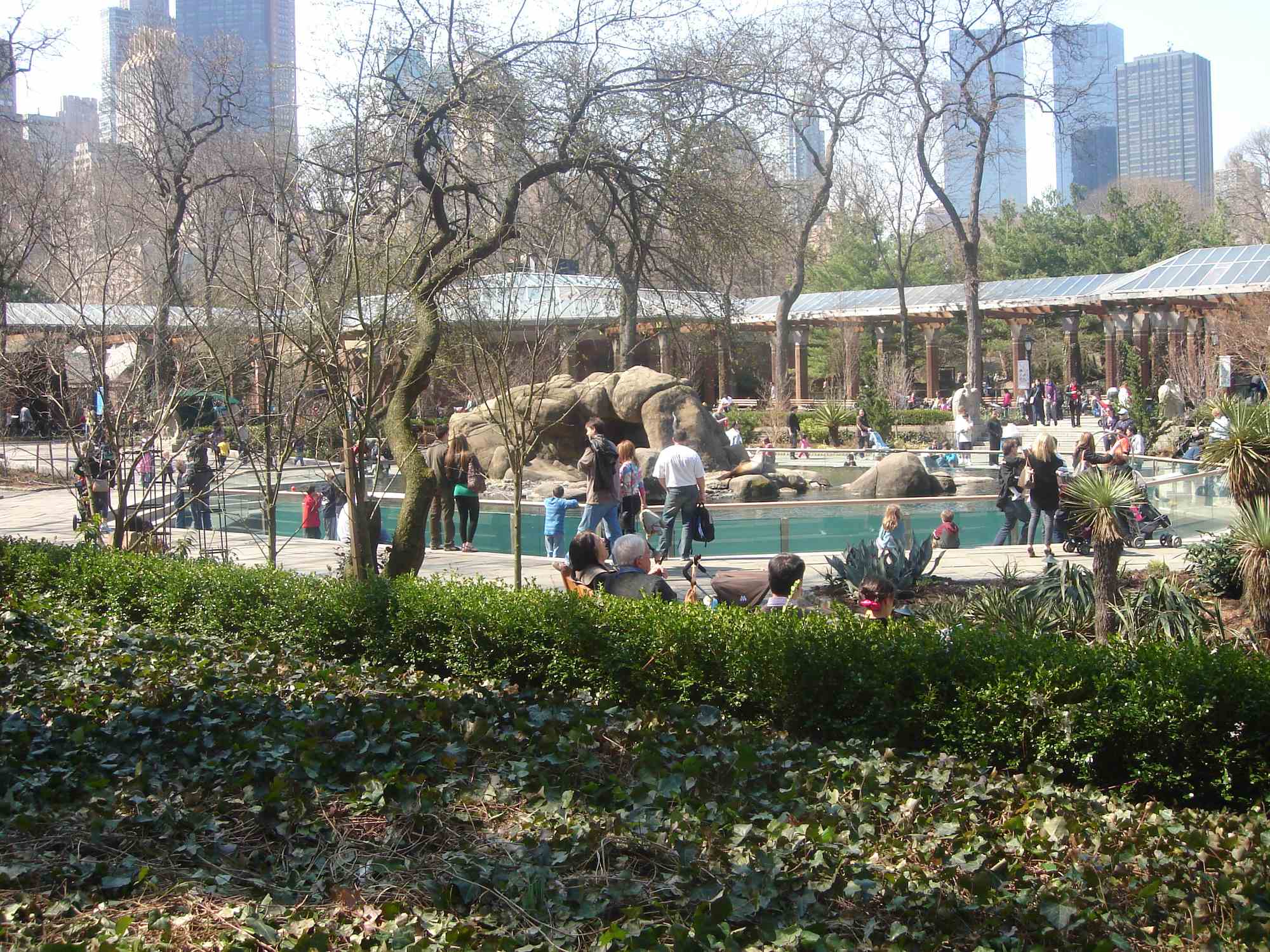 Central Park Zoo - Photo 1