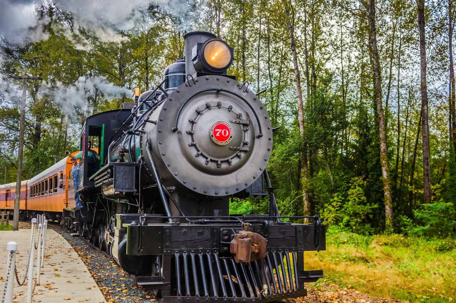 Mount Rainier Railroad - Photo 1