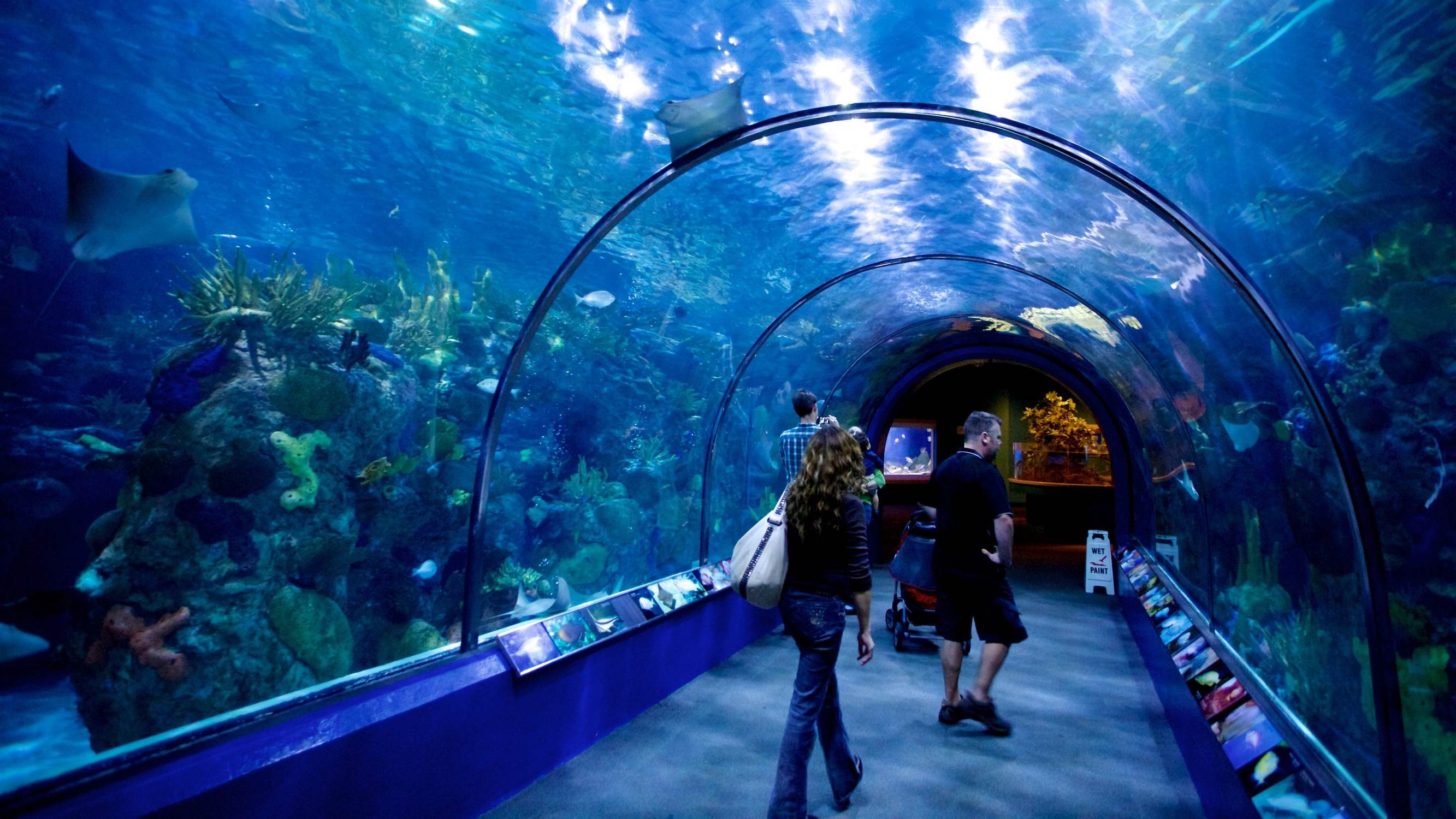 Audubon Aquarium of the Americas - Photo 1
