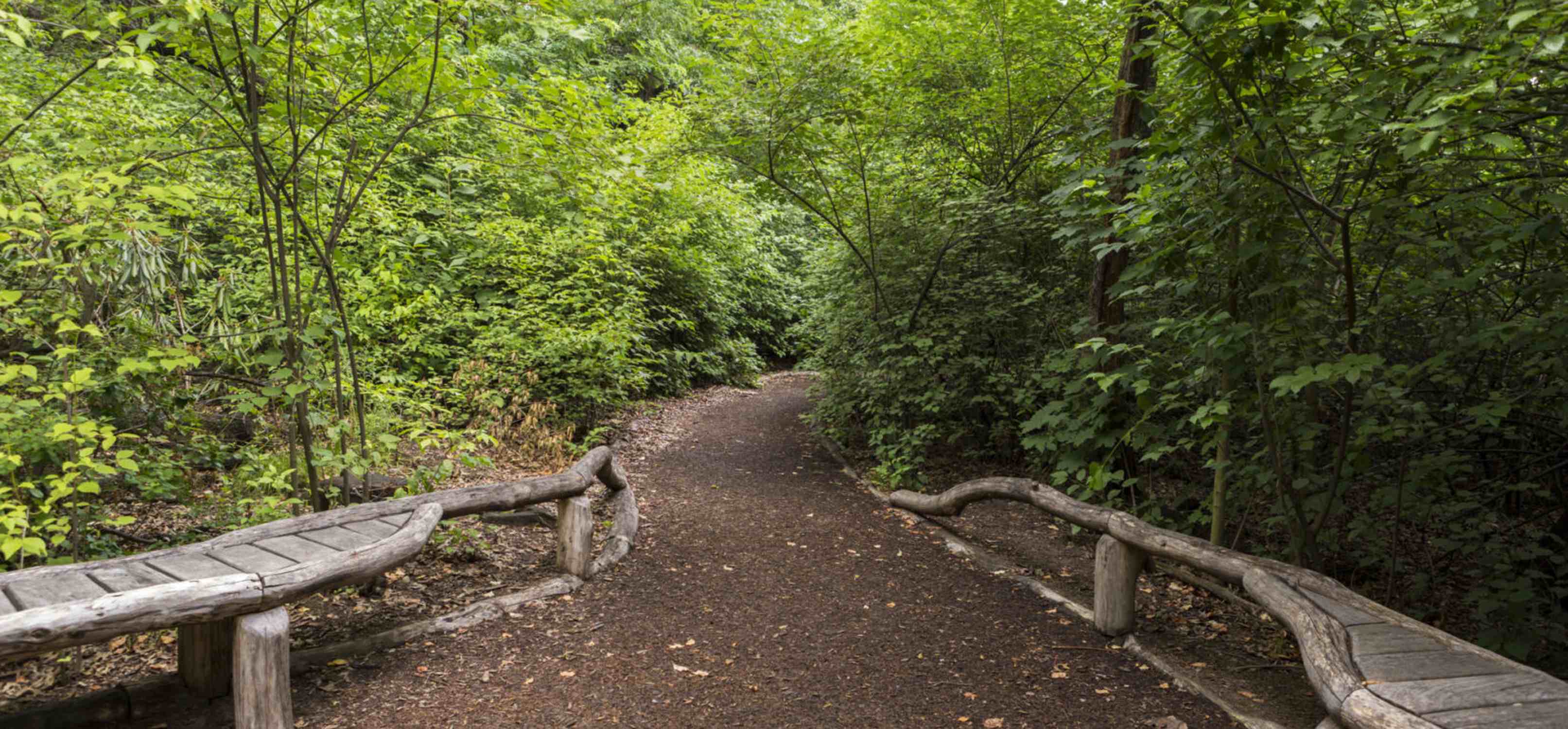 Hallett Nature Sanctuary - Photo 1