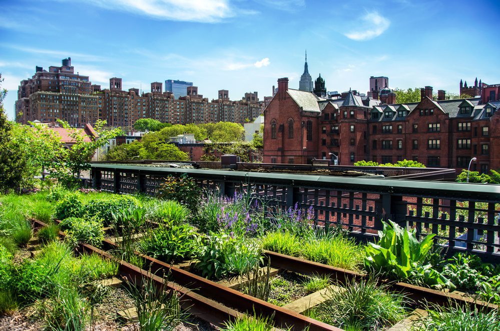 Chelsea District - Photo 1