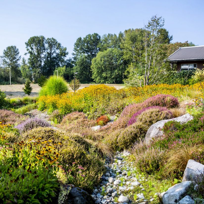 Center for Urban Horticulture - Photo 1
