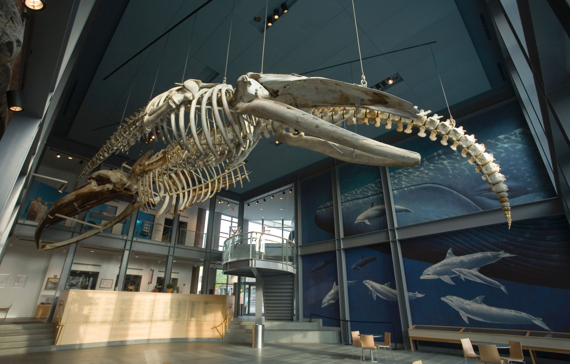 The Whaling Museum & Education Center - Photo 1