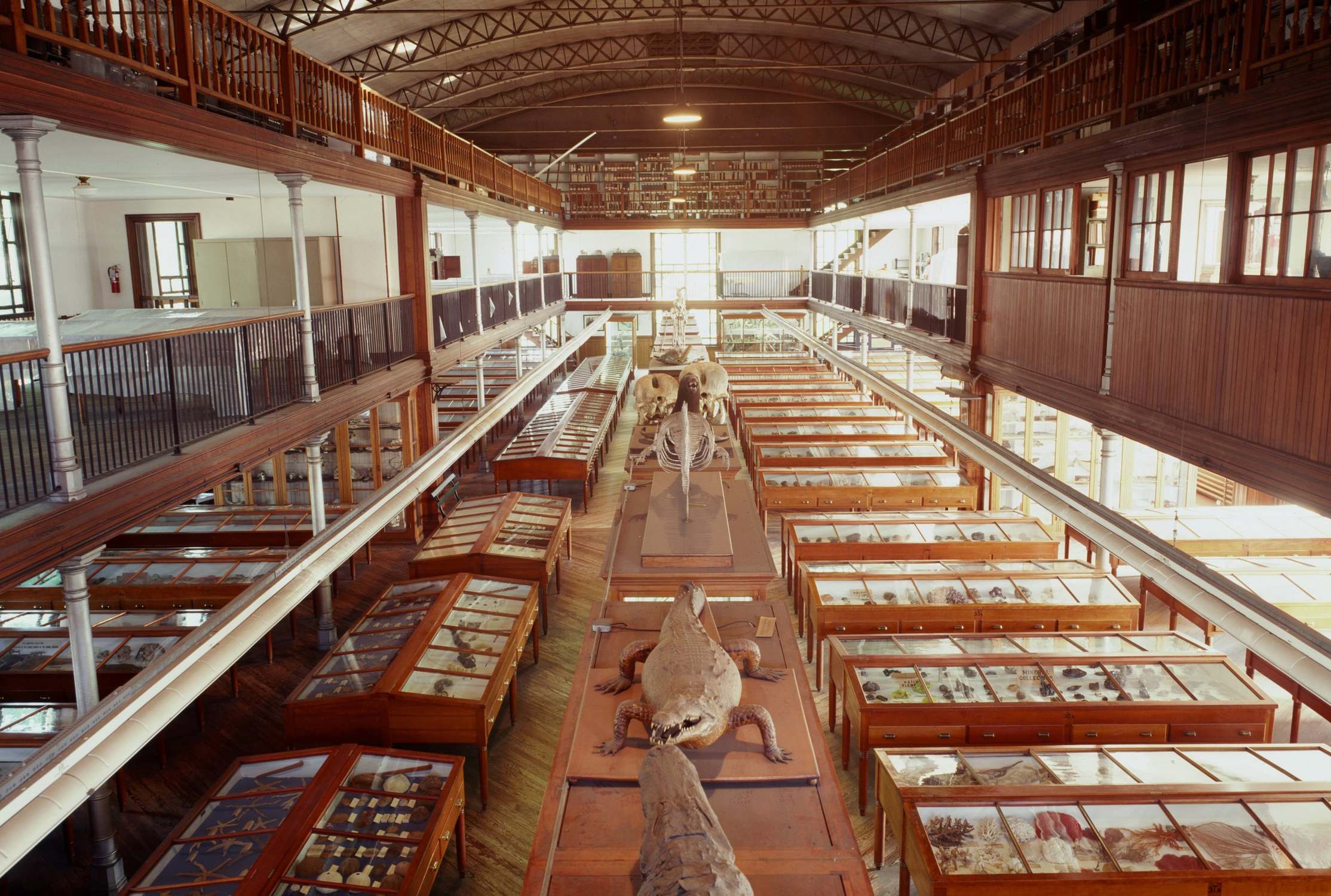 Wagner Free Institute of Science - Photo 1