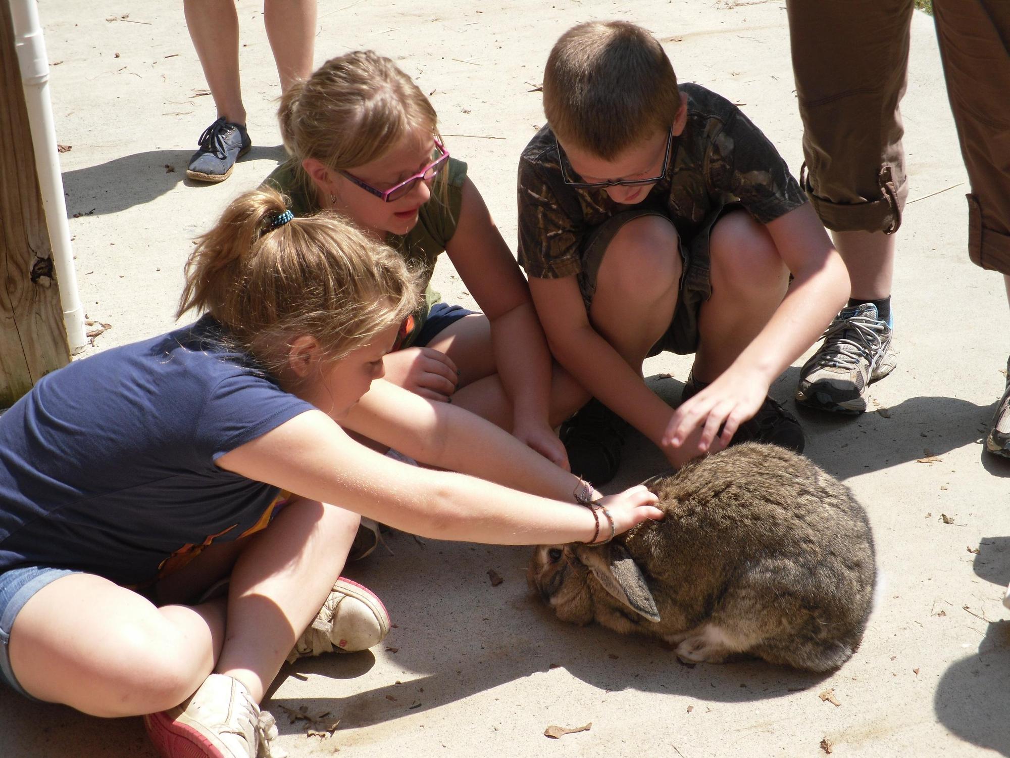 Mill Mountain Zoo - Photo 1