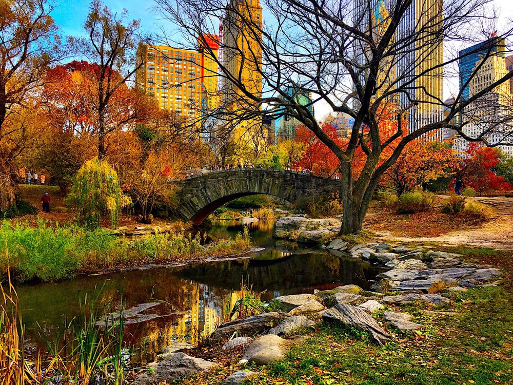 Gapstow Bridge - Photo 1
