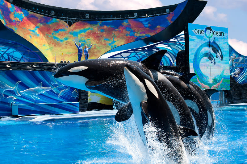 SeaWorld Orlando - Photo 1