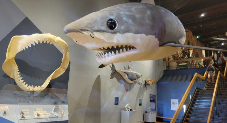 South Carolina State Museum - Photo 1