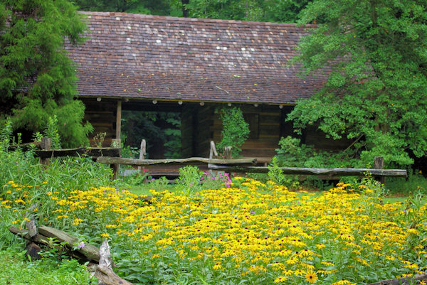 Botanical Gardens at Asheville - Photo 1
