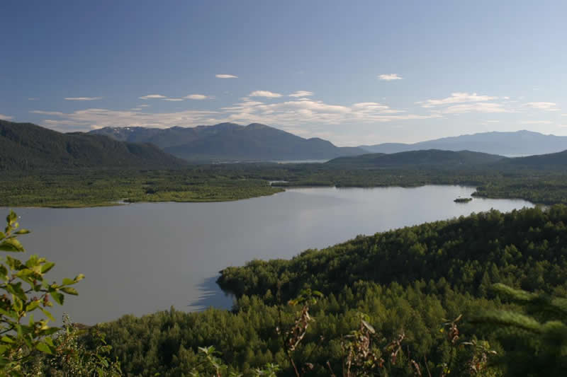 Mendenhall Valley - Photo 1