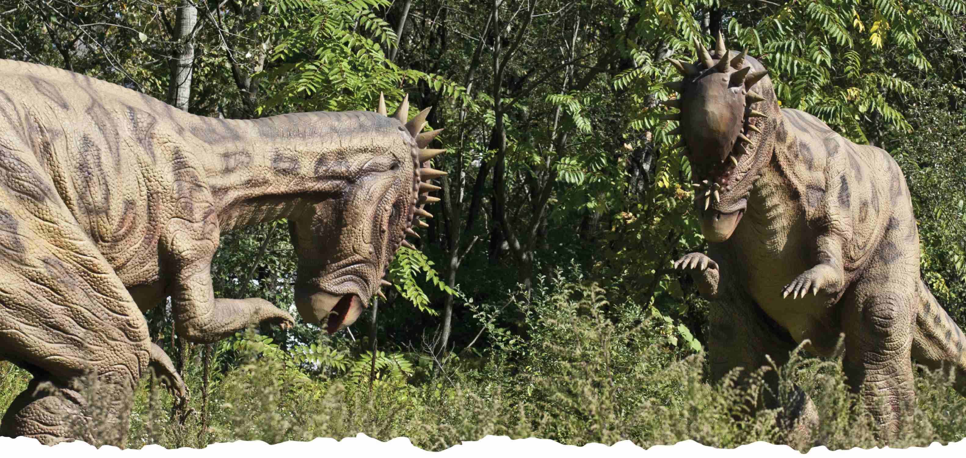 Field Station: Dinosaurs - Photo 1