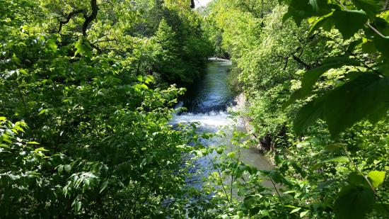 Kankakee River State Park - Photo 1